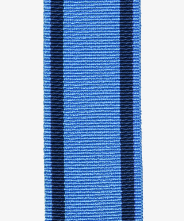 Frankreich, Medaille für Jugend, Sport und gesellschaftliches Engagement (457)